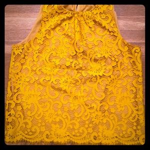 Loft sleeveless delicate lace golden/yellow top